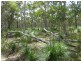 Deepwater QLD 4674
