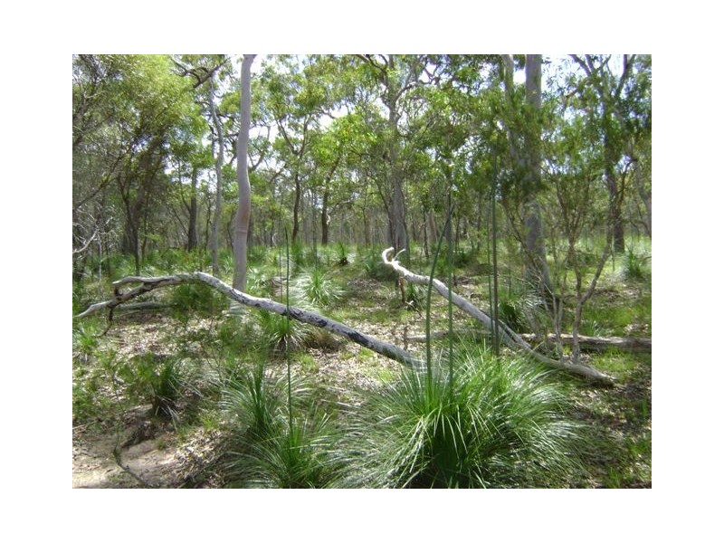 Deepwater QLD 4674