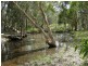 Deepwater QLD 4674