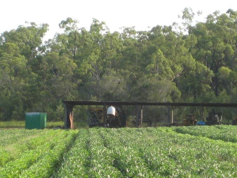 141 Webbs Road, Redridge QLD 4660