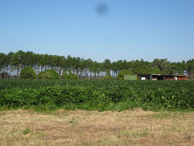 141 Webbs Road, Redridge QLD 4660