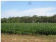 141 Webbs Road, Redridge QLD 4660