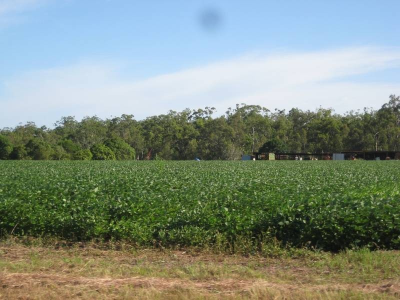 141 Webbs Road, Redridge QLD 4660