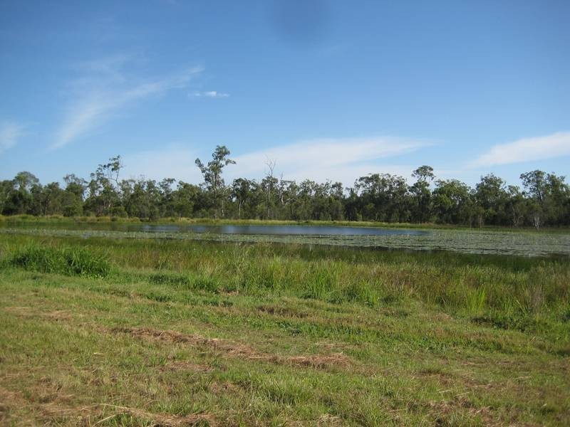141 Webbs Road, Redridge QLD 4660