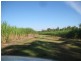 141 Webbs Road, Redridge QLD 4660