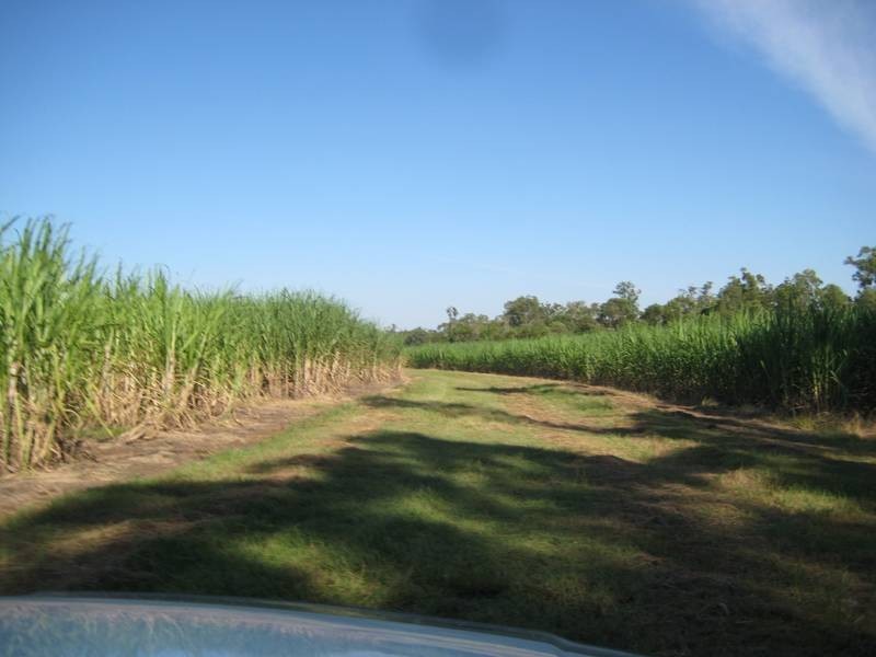 141 Webbs Road, Redridge QLD 4660