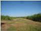 141 Webbs Road, Redridge QLD 4660