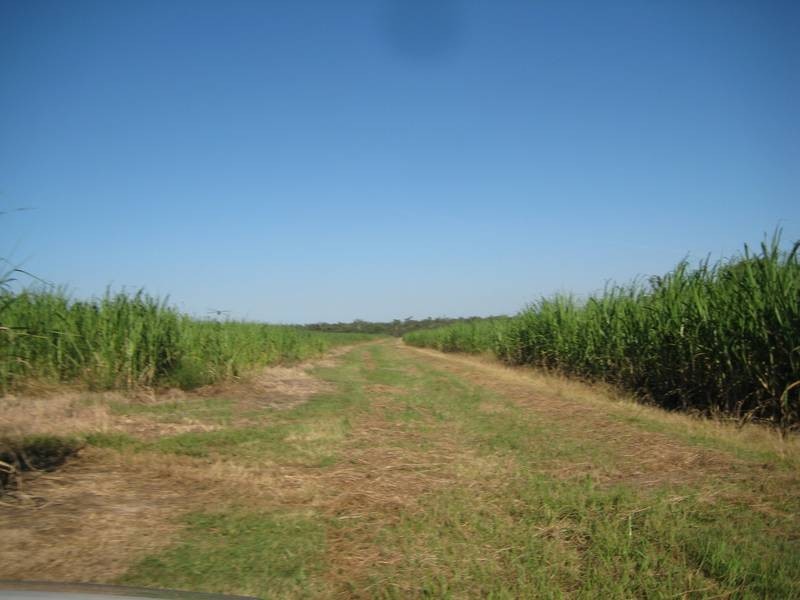 141 Webbs Road, Redridge QLD 4660