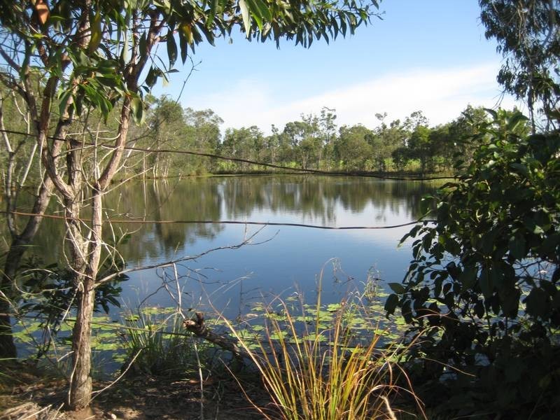 141 Webbs Road, Redridge QLD 4660