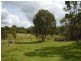Yandaran QLD 4673