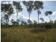 Sharon QLD 4670