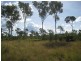 Sharon QLD 4670