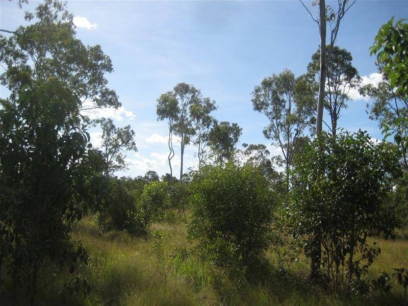 Sharon QLD 4670