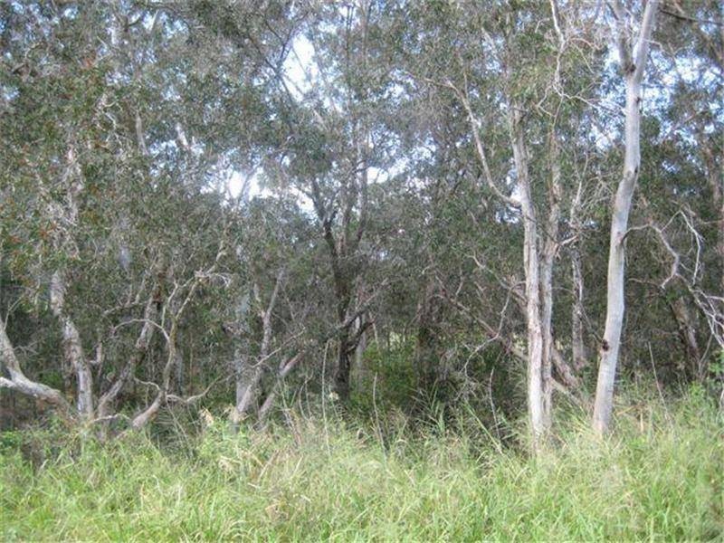 Abington QLD 4660