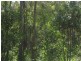 Abington QLD 4660