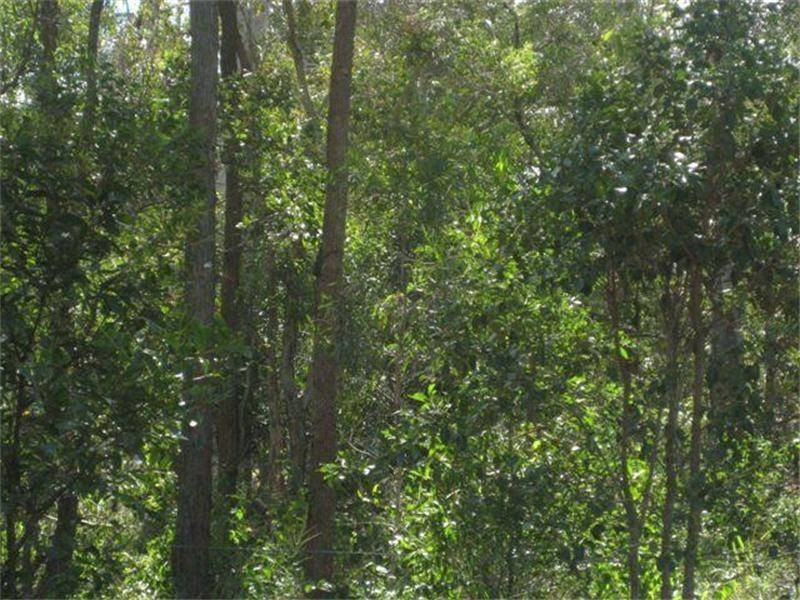 Abington QLD 4660