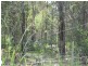 Abington QLD 4660