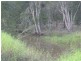 Abington QLD 4660