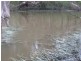 Abington QLD 4660