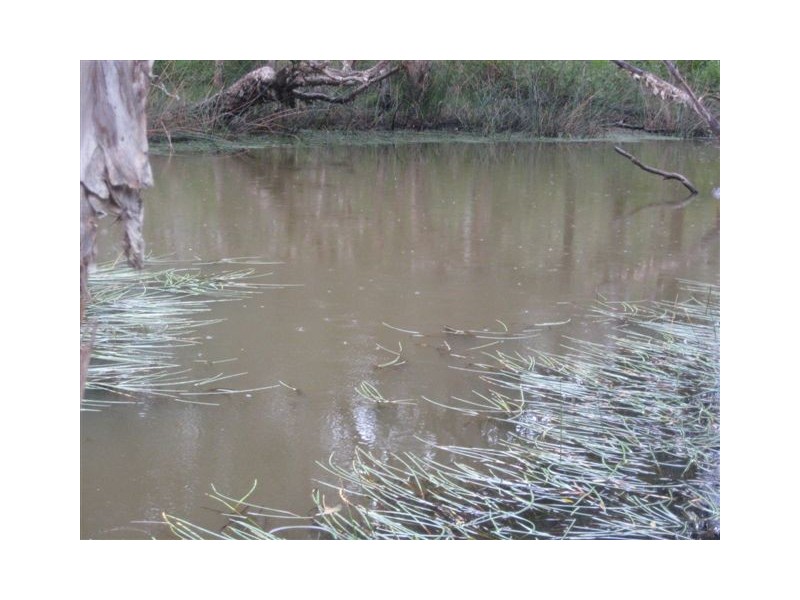 Abington QLD 4660