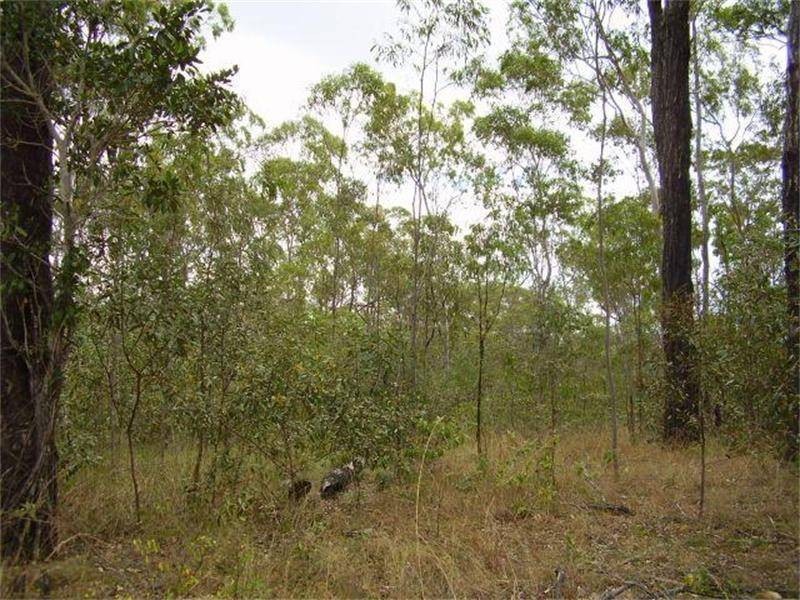 Rosedale QLD 4674