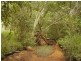 Rosedale QLD 4674