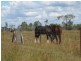 Woongarra QLD 4670