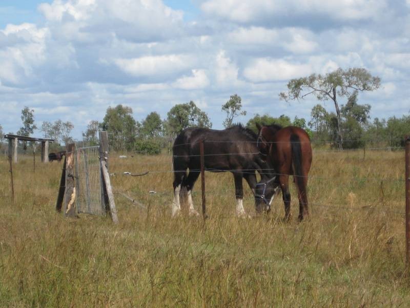 Woongarra QLD 4670