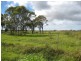 Calavos QLD 4670
