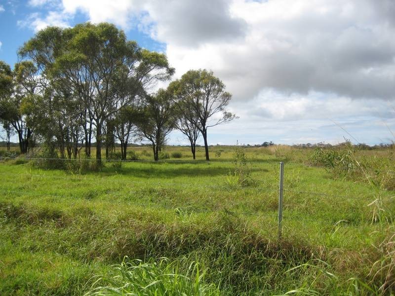 Calavos QLD 4670