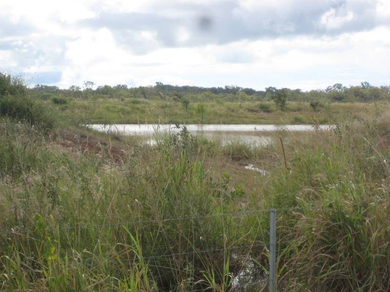 Calavos QLD 4670
