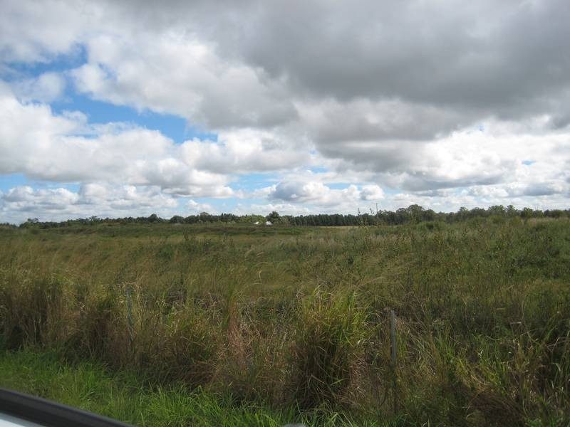 Calavos QLD 4670