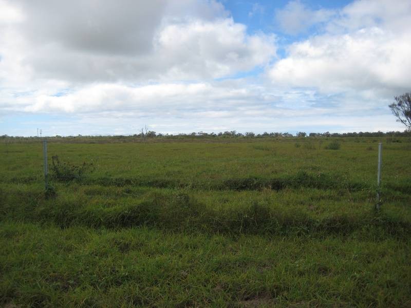 Calavos QLD 4670