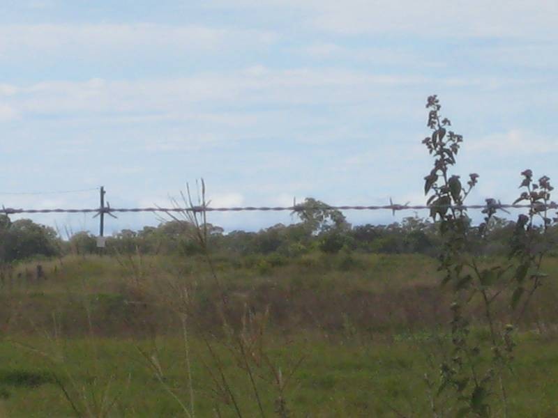 Calavos QLD 4670