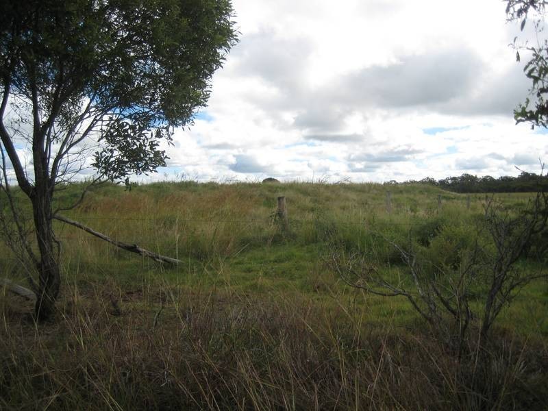 Calavos QLD 4670
