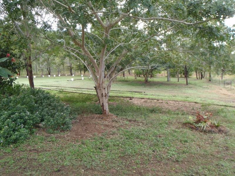 Delan QLD 4671