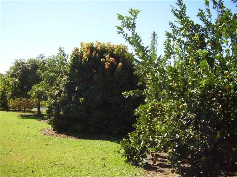 Rosedale QLD 4674