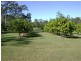 Baffle Creek QLD 4674