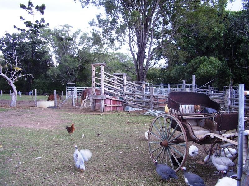 Bucca QLD 4670