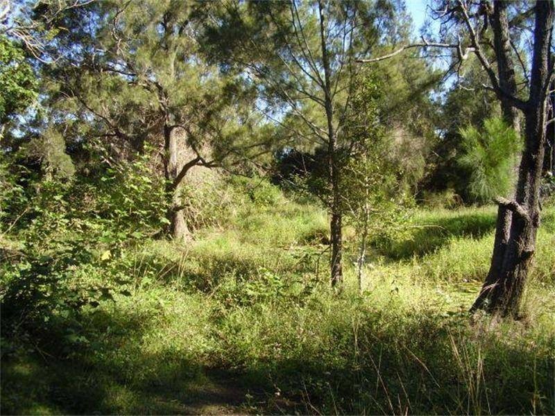 Euleilah QLD 4674