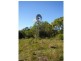 Euleilah QLD 4674