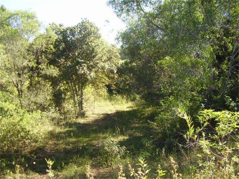 Euleilah QLD 4674