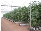 Alloway QLD 4670