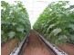 Alloway QLD 4670