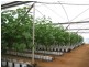 Alloway QLD 4670