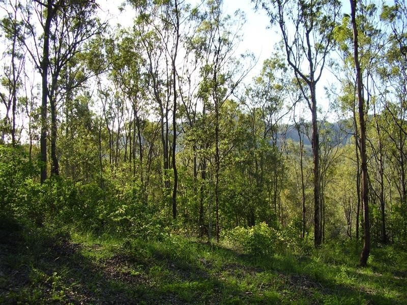 Mount Maria QLD 4674