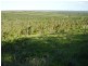 Mount Maria QLD 4674