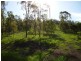 Mount Maria QLD 4674