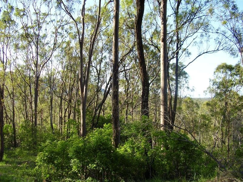 Mount Maria QLD 4674