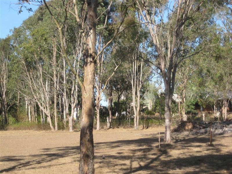 South Kolan QLD 4670